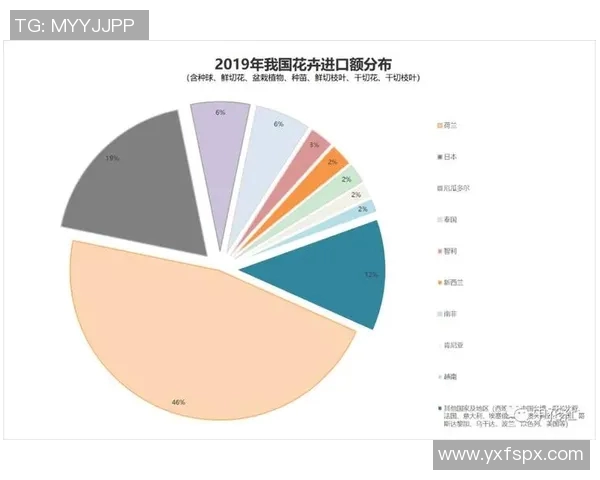 独家分析：杭州排球队的速度对比