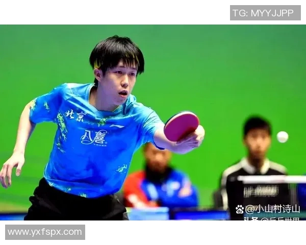 乒乓球战术解析：探秘北京乒乓球队的阵地战术体系与应用策略