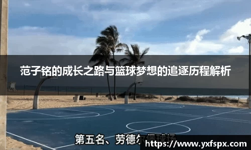 k1体育网页版
